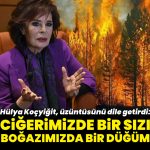 Hülya Koçyiğit: Ciğerimizde bir sızı, boğazımızda bir düğüm