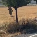 Fransa plakalı minibüsten kâbus çıktı! Kaza sonrası yardıma giden jandarmaya saldırdılar!